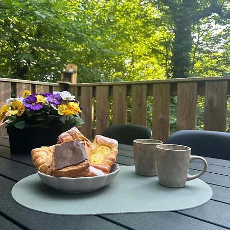 Шале Du Bois Vi *